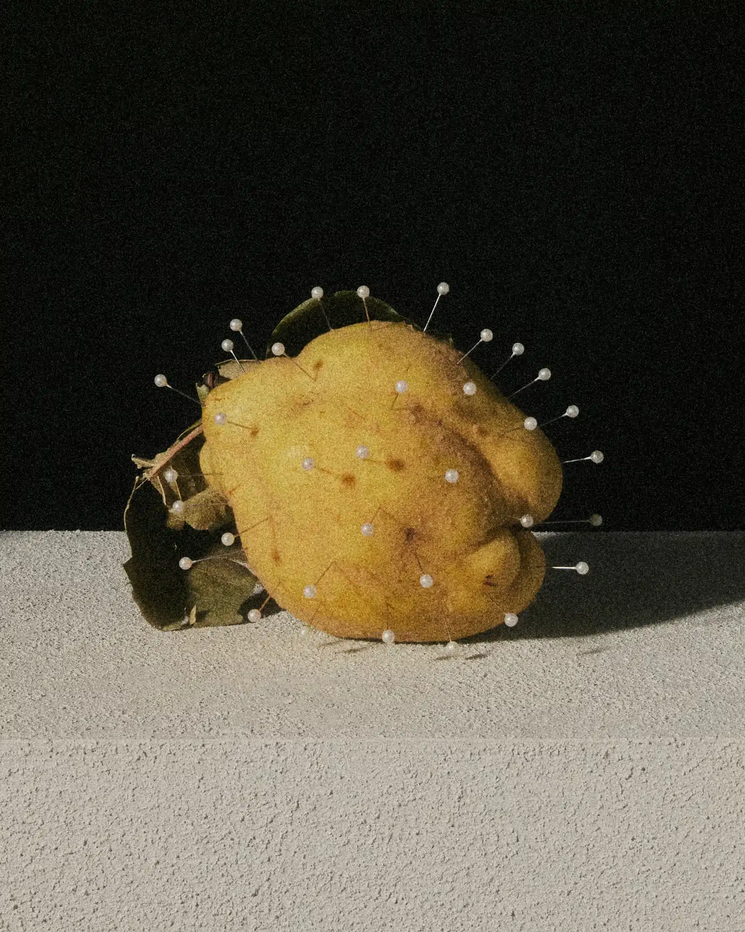 Oscar Calleja Craetive Paris EPS Bodegones 05 Resultat