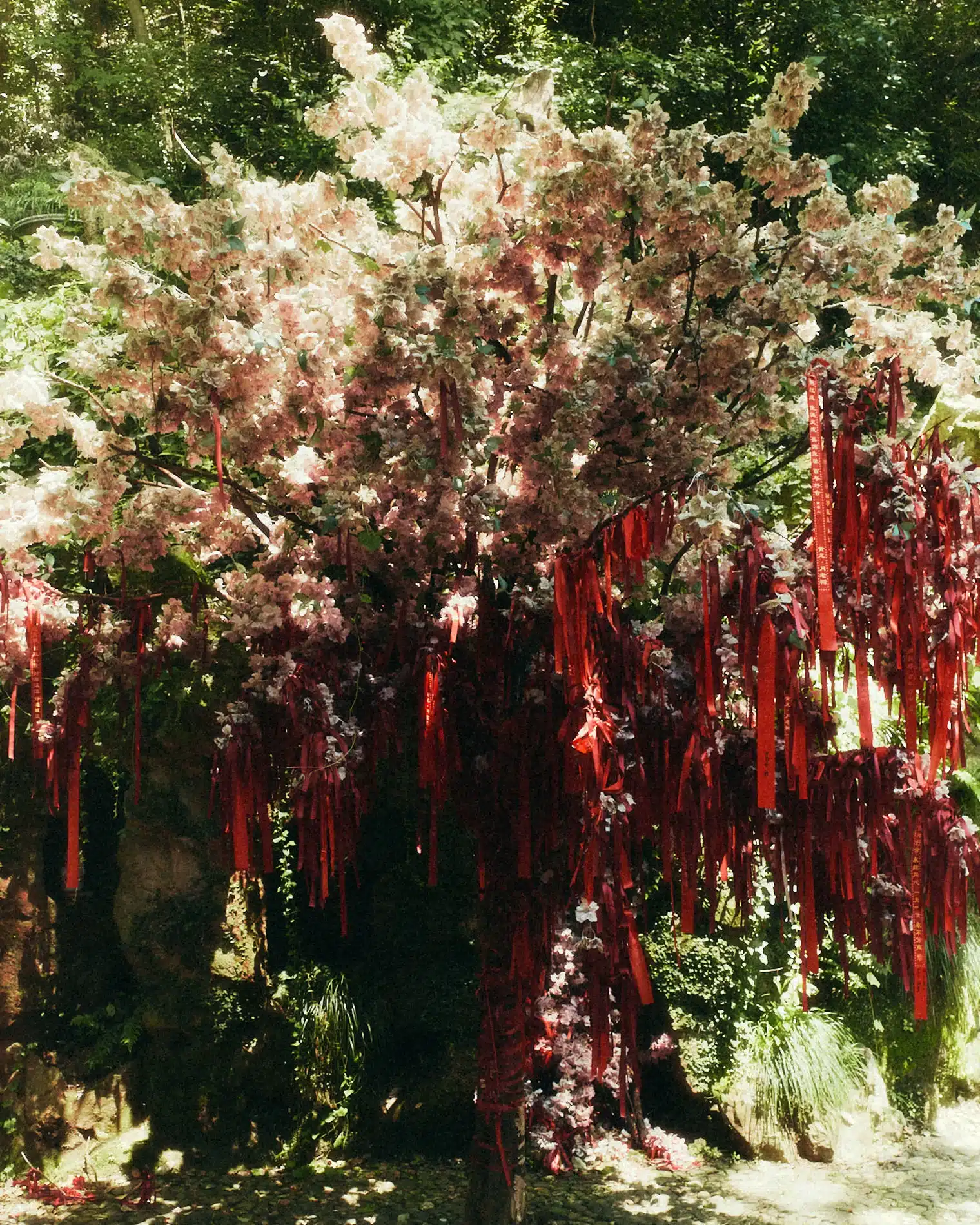 Oscar Calleja Craetive Paris Travel Asia 07 Resultat