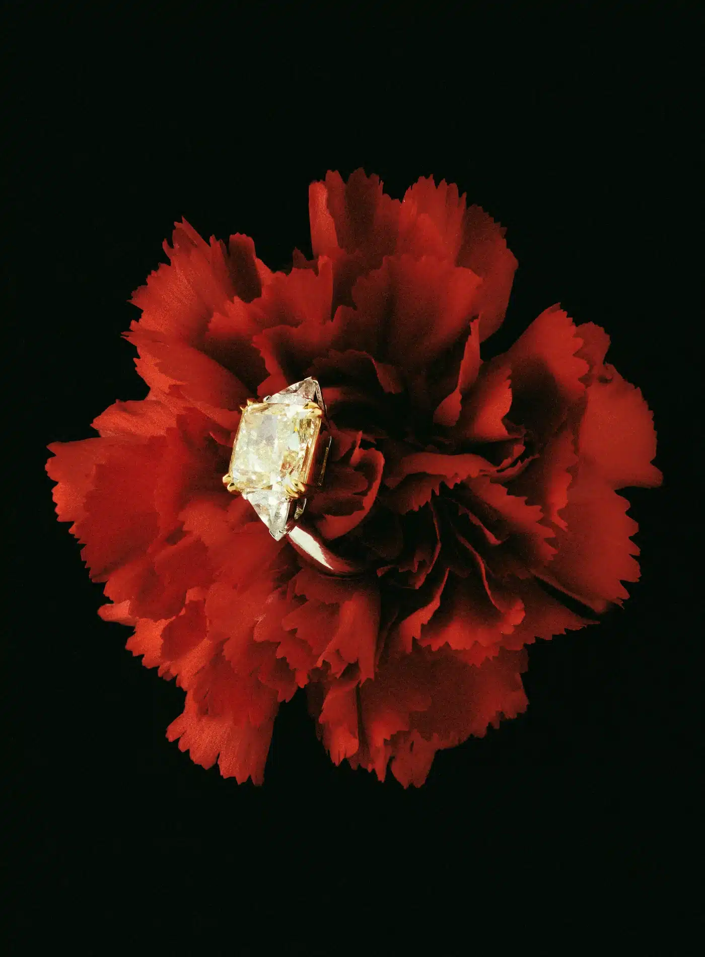 Oscar Calleja Craetive Paris Vogue Spain Jewelry 26 06 Resultat