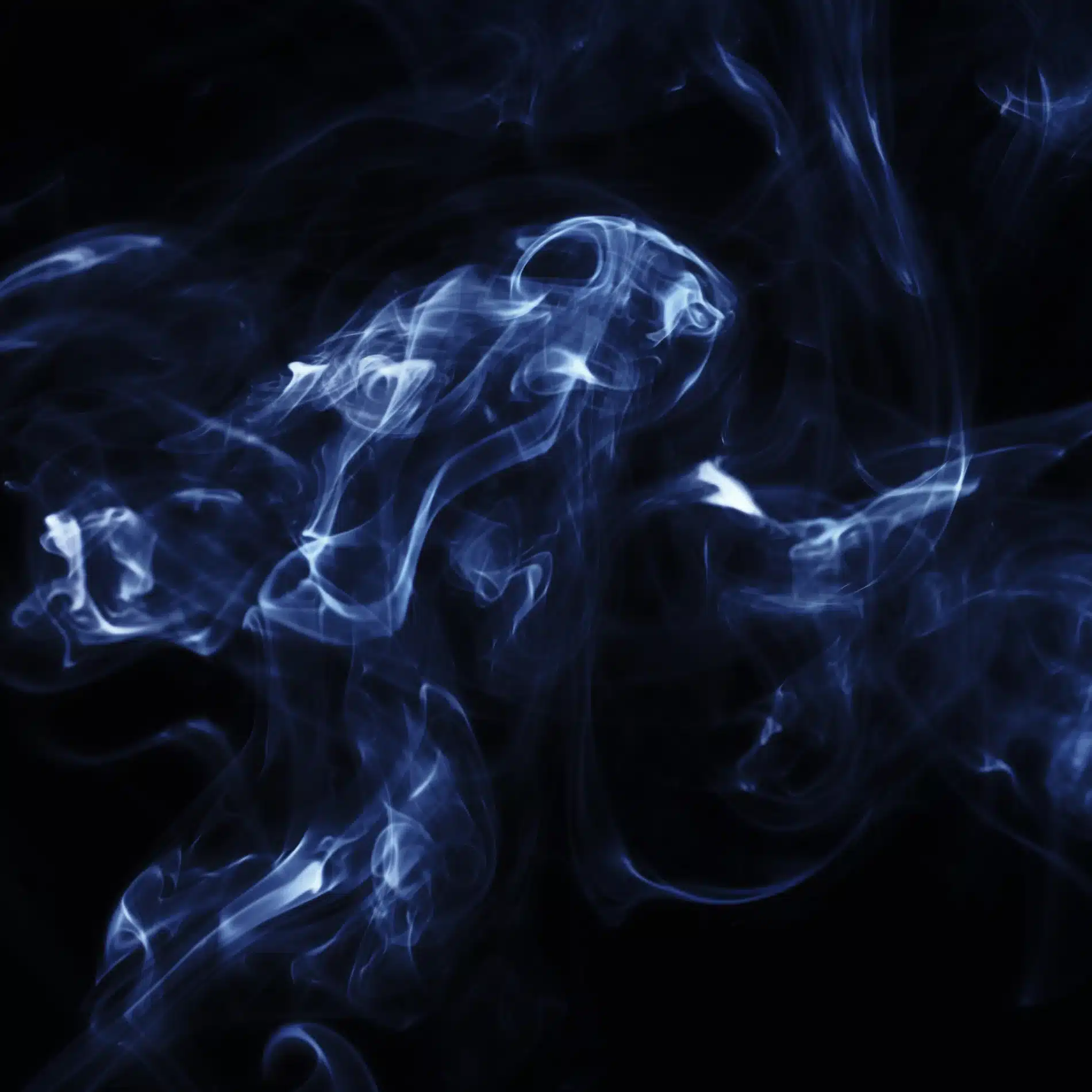 Pauline Choffe Craetive Paris Margiela Replica 09