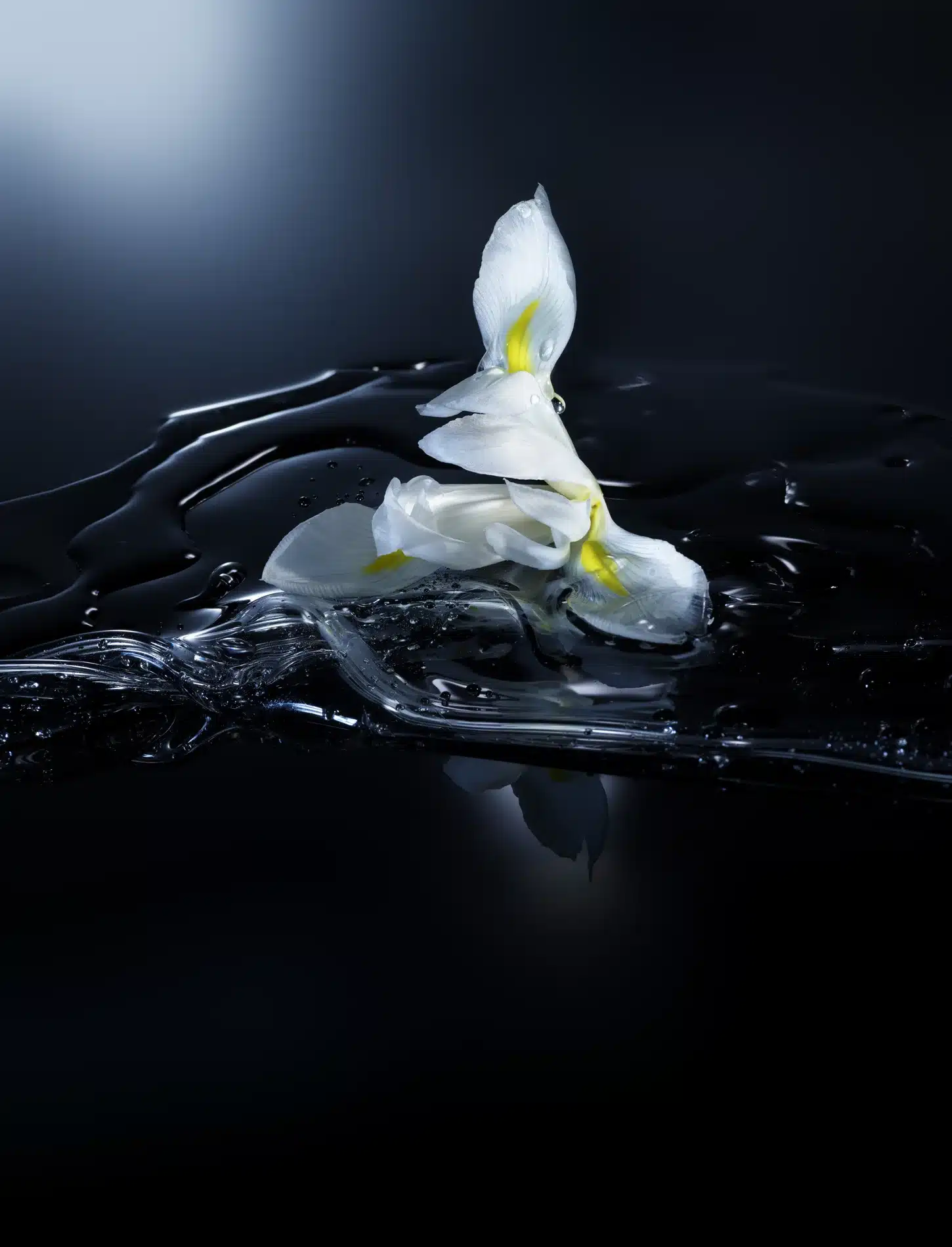 Pauline Choffe Craetive Paris Margiela Replica 17