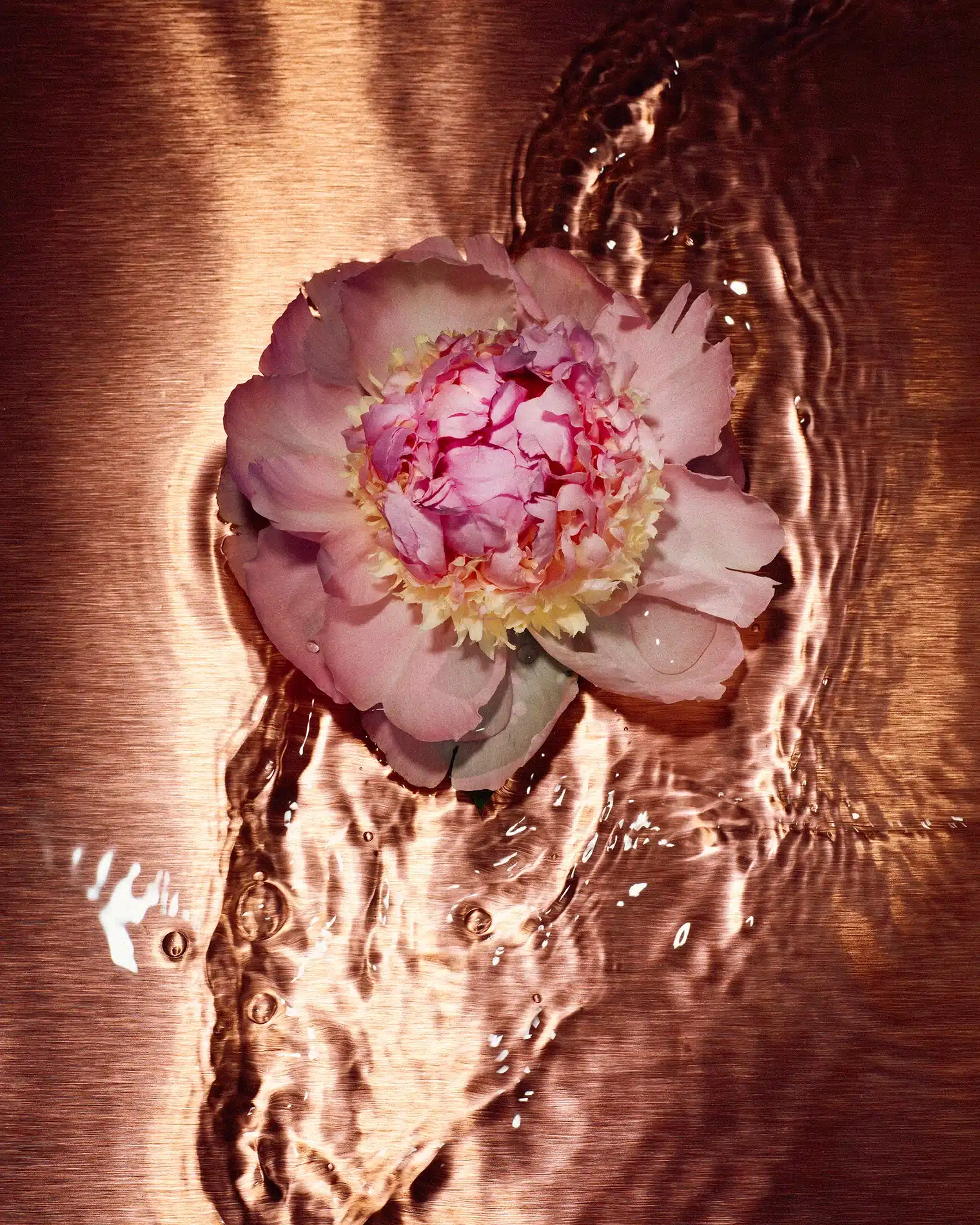 Pauline Choffe Craetive Paris Roberto Greco 01