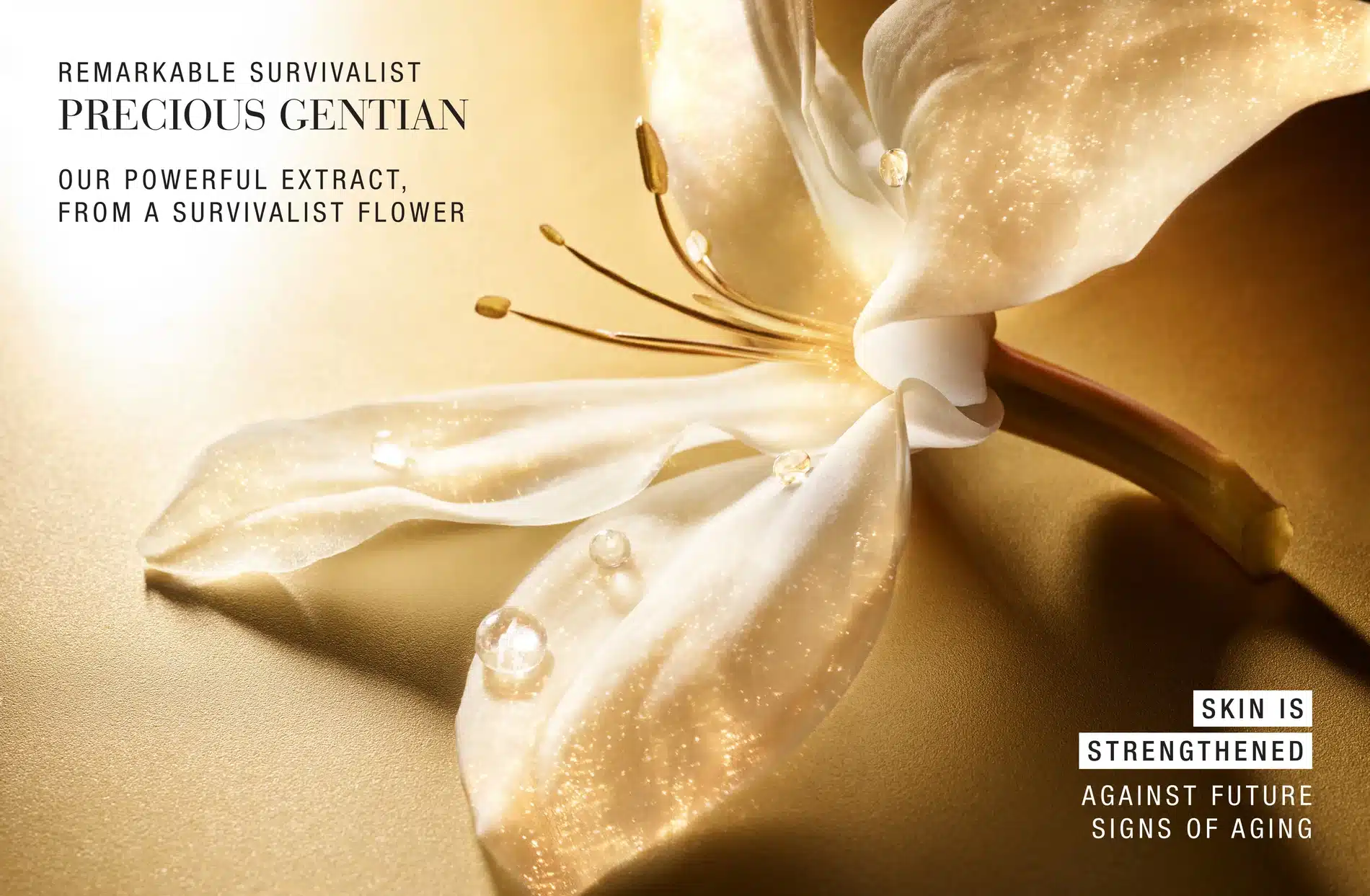 Simon Escourbiac Craetive Paris Estee Lauder 14 Resultat